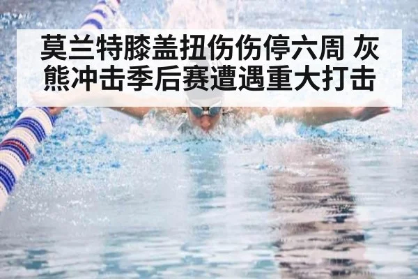 莫兰特膝盖扭伤伤停六周 灰熊冲击季后赛遭遇重大打击