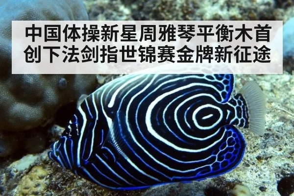 中国体操新星周雅琴平衡木首创下法剑指世锦赛金牌新征途