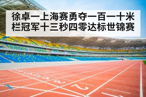徐卓一上海赛勇夺一百一十米栏冠军十三秒四零达标世锦赛